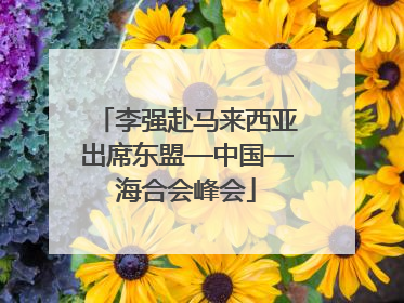 李强赴马来西亚出席东盟—中国—海合会峰会