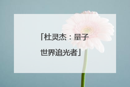 杜灵杰：量子世界追光者