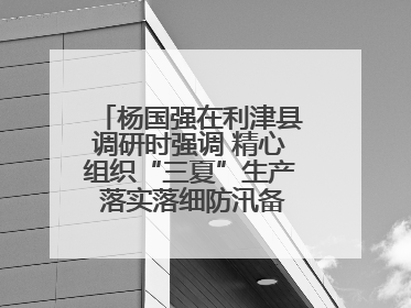 杨国强在利津县调研时强调 精心组织“三夏”生产 落实落细防汛备汛工作
