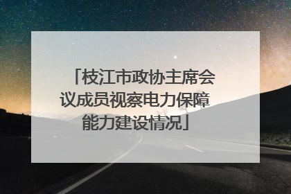 枝江市政协主席会议成员视察电力保障能力建设情况