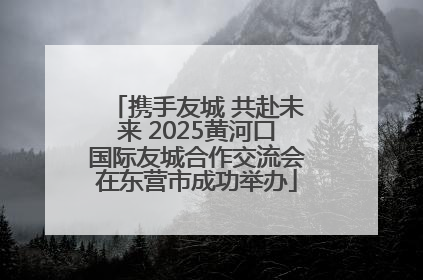 携手友城 共赴未来 2025黄河口国际友城合作交流会在东营市成功举办