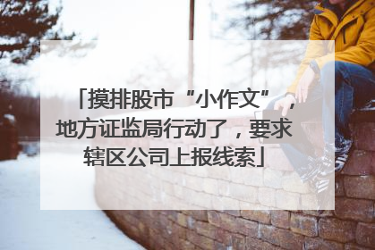 摸排股市“小作文”，地方证监局行动了，要求辖区公司上报线索