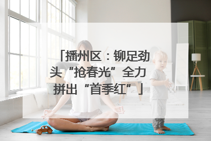 播州区：铆足劲头“抢春光”全力拼出“首季红”