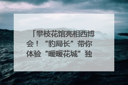 攀枝花馆亮相西博会！“豹局长”带你体验“暖暖花城”独特魅力｜西博视界