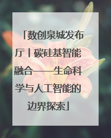 数创泉城发布厅丨碳硅基智能融合——生命科学与人工智能的边界探索