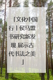 文化中国行丨侯马盟书研究新发现 展示古代书法之美