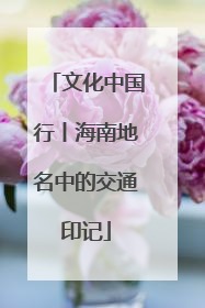文化中国行丨海南地名中的交通印记