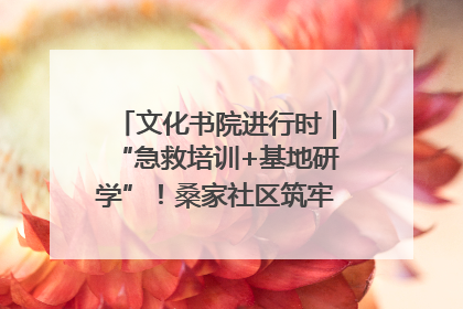 文化书院进行时｜“急救培训+基地研学”！桑家社区筑牢居民健康防线