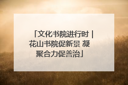 文化书院进行时｜花山书院促新景 凝聚合力促善治