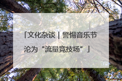 文化杂谈｜警惕音乐节沦为“流量竞技场”