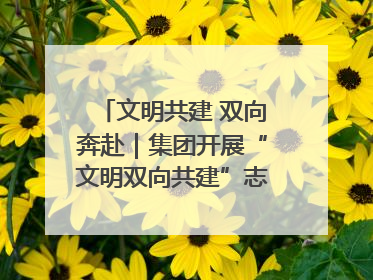 文明共建 双向奔赴｜集团开展“文明双向共建”志愿服务活动
