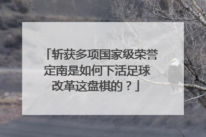 斩获多项国家级荣誉 定南是如何下活足球改革这盘棋的？