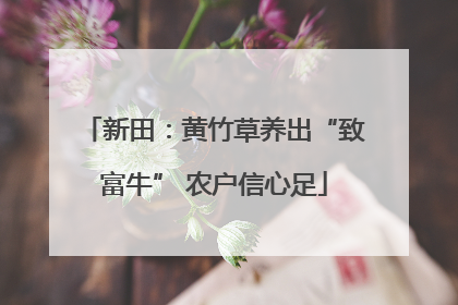 新田：黄竹草养出“致富牛” 农户信心足