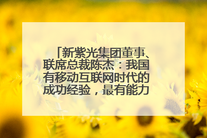 新紫光集团董事、联席总裁陈杰：我国有移动互联网时代的成功经验，最有能力做好AI应用创新