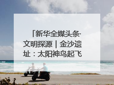 新华全媒头条·文明探源｜金沙遗址：太阳神鸟起飞的地方（10）