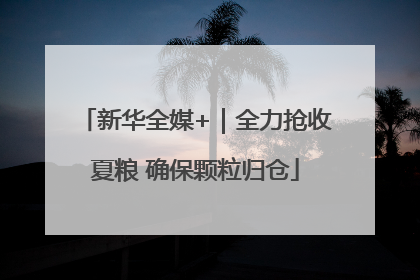新华全媒+｜全力抢收夏粮 确保颗粒归仓