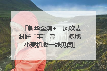 新华全媒+｜风吹麦浪好“丰”景——多地小麦机收一线见闻