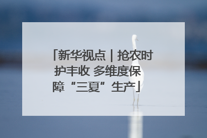 新华视点｜抢农时 护丰收 多维度保障“三夏”生产