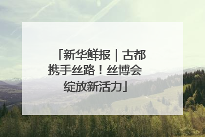 新华鲜报｜古都携手丝路！丝博会绽放新活力