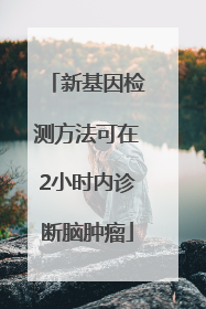 新基因检测方法可在2小时内诊断脑肿瘤