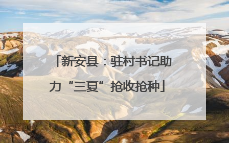 新安县：驻村书记助力“三夏”抢收抢种