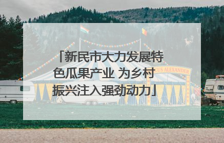 新民市大力发展特色瓜果产业 为乡村振兴注入强劲动力
