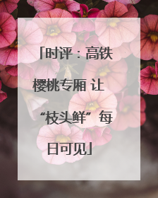 时评：高铁樱桃专厢 让“枝头鲜”每日可见