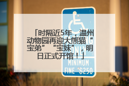 时隔近5年，温州动物园再迎大熊猫“宝弟”“宝妹”，明日正式开馆！