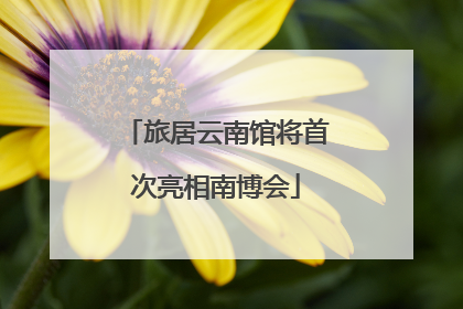 旅居云南馆将首次亮相南博会