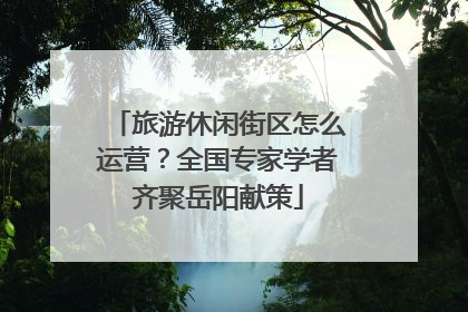 旅游休闲街区怎么运营？全国专家学者齐聚岳阳献策