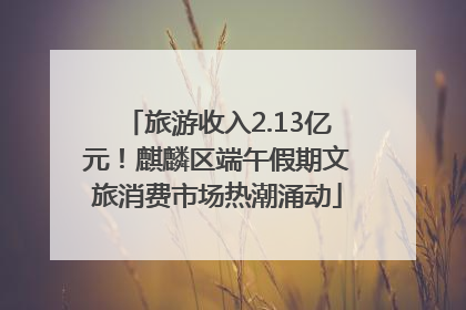 旅游收入2.13亿元！麒麟区端午假期文旅消费市场热潮涌动