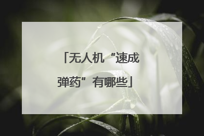 无人机“速成弹药”有哪些