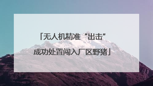 无人机精准“出击” 成功处置闯入厂区野猪