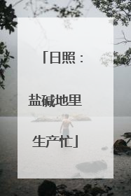 日照：盐碱地里生产忙