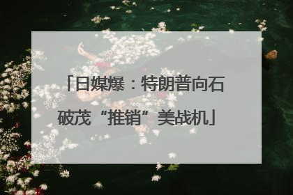日媒爆：特朗普向石破茂“推销”美战机