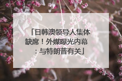 日韩澳领导人集体缺席！外媒曝光内幕：与特朗普有关