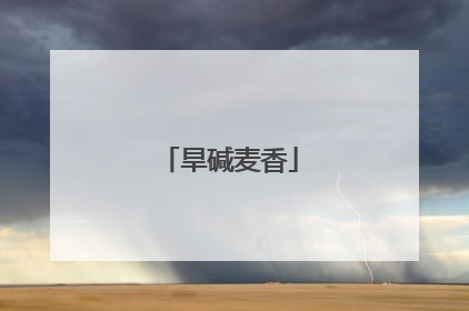 旱碱麦香