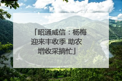 昭通威信：杨梅迎来丰收季 助农增收采摘忙