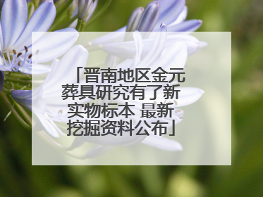 晋南地区金元葬具研究有了新实物标本 最新挖掘资料公布