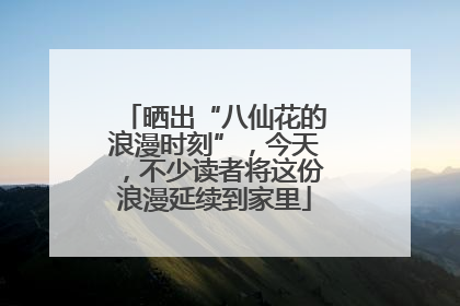 晒出“八仙花的浪漫时刻”，今天，不少读者将这份浪漫延续到家里