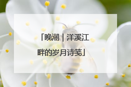 晚潮｜洋溪江畔的岁月诗笺