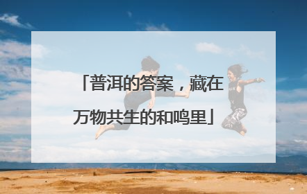 普洱的答案，藏在万物共生的和鸣里