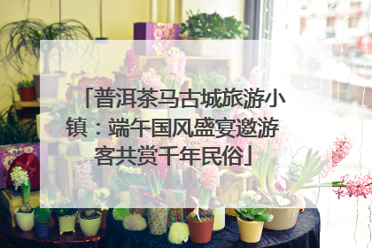 普洱茶马古城旅游小镇：端午国风盛宴邀游客共赏千年民俗