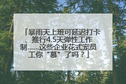 暴雨天上班可延迟打卡、推行4.5天弹性工作制……这些企业花式宠员工你“慕”了吗？