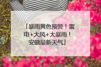 暴雨黄色预警！雷电+大风+大暴雨！安徽最新天气