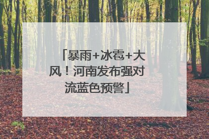 暴雨+冰雹+大风！河南发布强对流蓝色预警