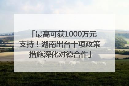 最高可获1000万元支持！湖南出台十项政策措施深化对德合作