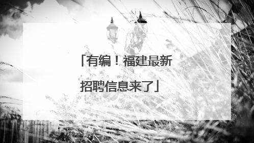 有编！福建最新招聘信息来了