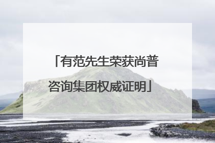 有范先生荣获尚普咨询集团权威证明