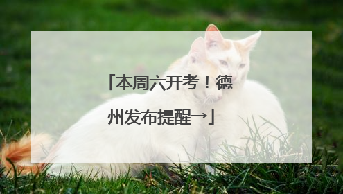 本周六开考！德州发布提醒→
